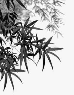 中国风竹子素材