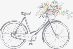 浅灰色手绘自行车线稿插画素材