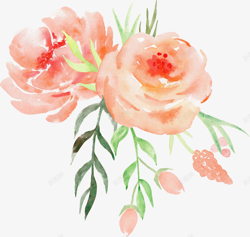 手绘水彩玫瑰花装饰元素png免抠素材_88icon https://88icon.com 婚礼卡片设计 手绘复古花边 手绘精致花边 水墨水彩花纹 浪漫水彩花朵 花边插画元素