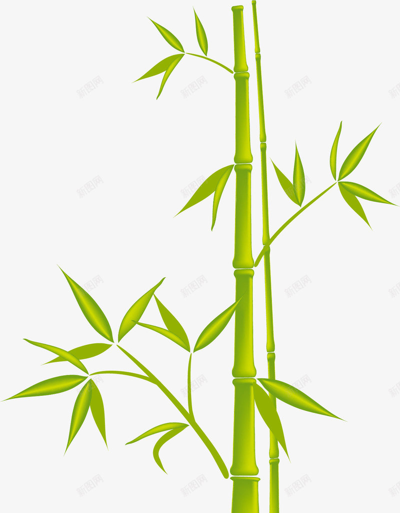 卡通清新竹子矢量图ai免抠素材_88icon https://88icon.com 卡通 清新 竹子 矢量图