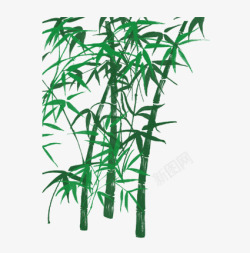 翠绿竹子素材
