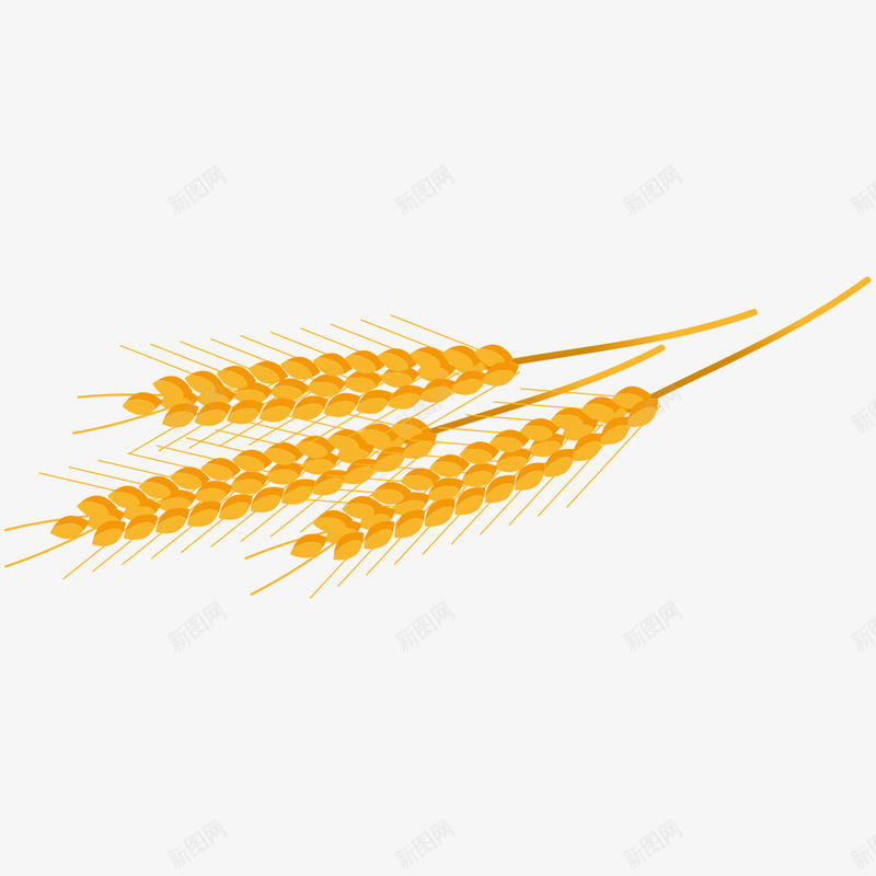 手绘金黄色麦穗png免抠素材_88icon https://88icon.com 小麦 手绘小麦 手绘麦穗 收获 秋季 金黄色麦穗