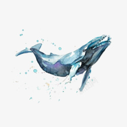 手绘一只蓝色水彩优雅的座头鲸插素材