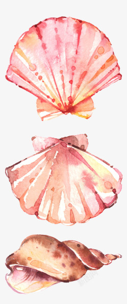 手绘的海螺夏日主题元素水彩贝壳扇贝高清图片