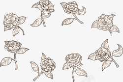 复古花蔷薇手绘蔷薇花线稿高清图片