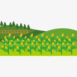 种植插画玉米地插图矢量图高清图片