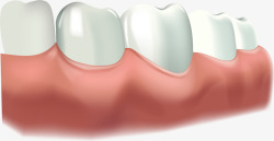 牙龈健康美丽白色牙齿高清图片