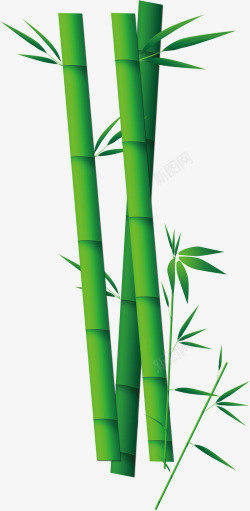 绿色竹子竹叶竹筒装饰素材