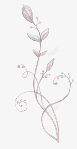 手绘植物花卉花草装饰花边素材