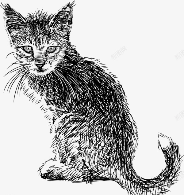 小猫黑白图png免抠素材_88icon https://88icon.com 动物小猫 小猫 手绘小猫 素描 素描猫