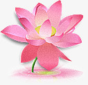 莲花kidaubischinesewindpng免抠素材_88icon https://88icon.com Lotus 莲花