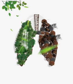 个性画绿色创意肺部插画高清图片