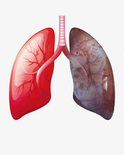 创意被污染的肺素材