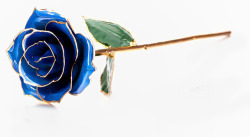 镀金玫瑰花蓝色妖姬金箔素材