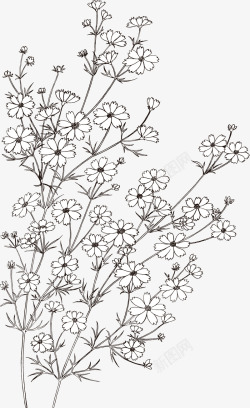 日系风格叶子手绘装饰线描花卉植物图案矢量图高清图片