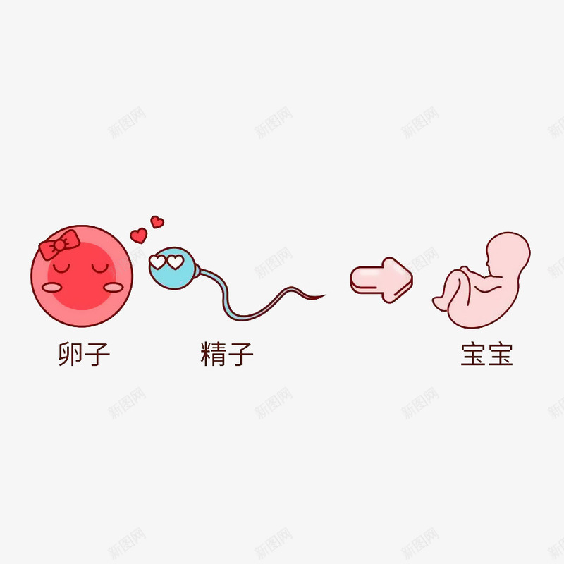 卡通精子和卵子插画png免抠素材_88icon https://88icon.com 卡通 卵子 受精 受精卵 宝宝 性主题 性教育 插画 教育 精子