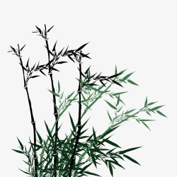 青翠的竹子中国风墨绿竹子高清图片