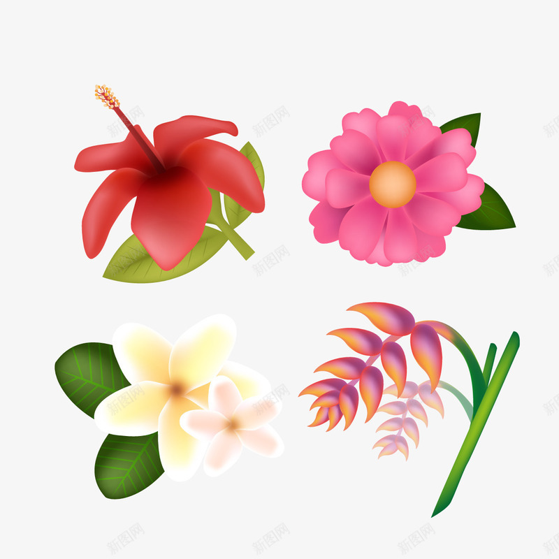 鲜花合集png免抠素材_88icon https://88icon.com 室内花 小野花 装饰 鸡蛋