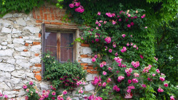 粉色花朵建筑房屋素材