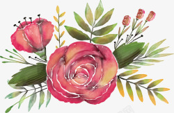 水彩手绘美丽玫瑰矢量图素材