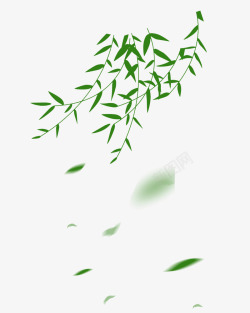 绿色柳树叶春天柳枝手绘插画高清图片