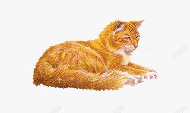 一只动物猫png免抠素材_88icon https://88icon.com 动物 动物猫 宠物猫 小猫 猫 猫咪