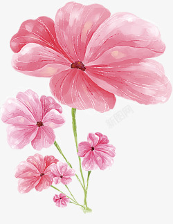 情人节粉色水彩花朵装饰素材