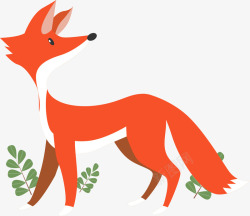 森林里橘色的狐狸矢量图素材