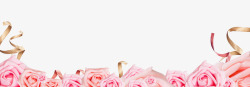 情人节装饰粉色玫瑰花素材