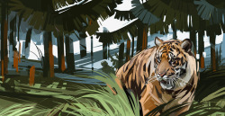 手绘老虎图案芭蕉森林背景素材
