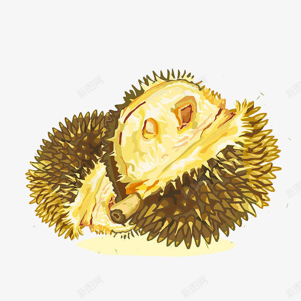 手绘泰式榴莲装饰插画png免抠素材_88icon https://88icon.com 传单 宣传 手绘 插画 树上熟榴莲 榴莲 水果 泰国 泰国榴莲 海报 装饰画