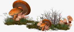 卡通草丛蘑菇森林装饰图案素材