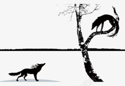 树上树下对峙的狐狸素材