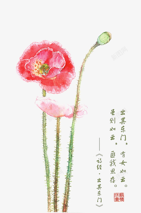 诗经花朵插画配图png免抠素材_88icon https://88icon.com 卡通 卡通插画 古风 唯美 手绘 花卉 诗歌 诗经 诗词