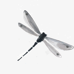 中国风墨水画蜻蜓素材