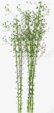 竹子图标素描图标