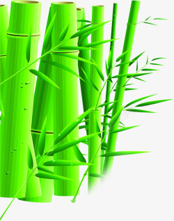 绿色艺术竹子风光素材
