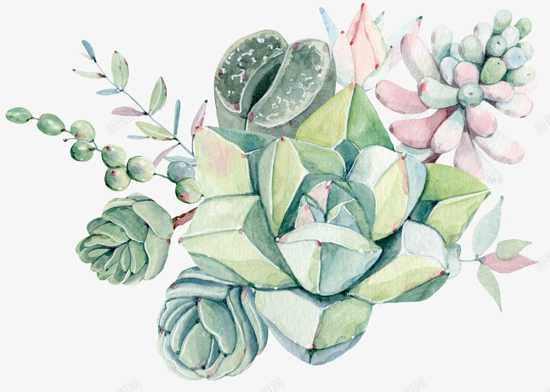 手绘绿色多肉组合png免抠素材_88icon https://88icon.com 多肉 多肉组合 手绘 插画 文艺 植物 清新 花草装饰 花草设计
