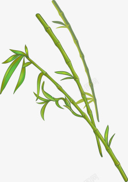 绿色竹子装饰矢量图素材