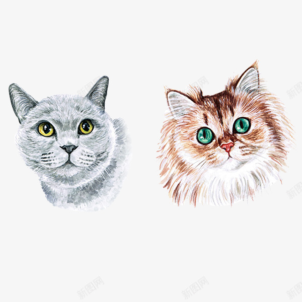 可爱动物小猫咪png免抠素材_88icon https://88icon.com png图片 动物 可爱 宠物 小猫咪