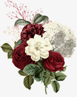 彩色玫瑰手绘文艺清新花卉植物高清图片