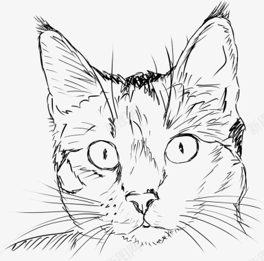 圆的脸手绘猫矢量图图标图标