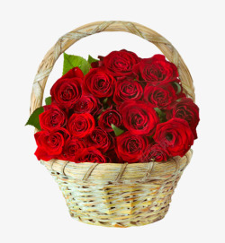 大红花瓣情人节玫瑰高清图片