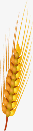 黄色手绘秋季麦穗素材