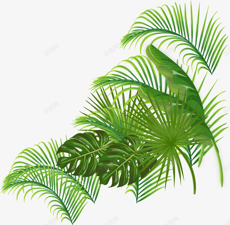 绿色大树叶装饰图案png免抠素材_88icon https://88icon.com 大树叶芭蕉树 彩绘叶子 春季花草装饰 植物 水彩花卉