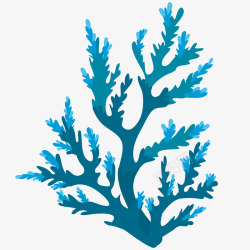 珊瑚虫蓝色珊瑚插画矢量图高清图片