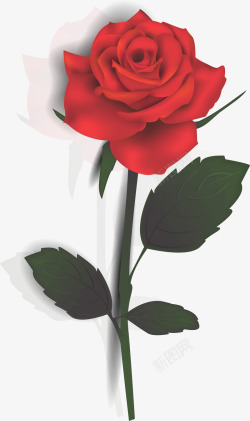 情人节love花纹背景红色情人节玫瑰花朵高清图片
