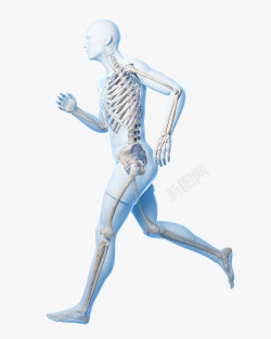 医疗卫生男人跑步骨骼立体插画高清图片