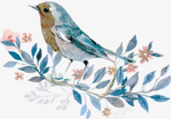摄影插画手绘花朵鸟元素素材