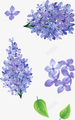 卡通手绘紫色花朵素材